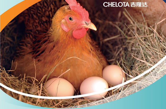 CHELATRIX LAYER H1232K Granular Glycine Analogs And Selenium Combined For Egg