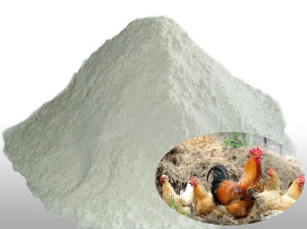 Feed Additives MgO Oxide Salts 53.0% Magnesium Oxide Powder